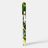 Galilee Acorn Case-Mate iPhone Hülle (Rückseite / Links)