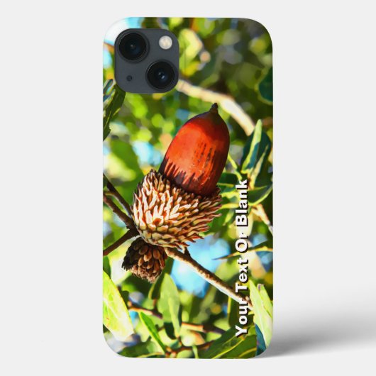 Galilee Acorn Case-Mate iPhone Hülle (Rückseite)