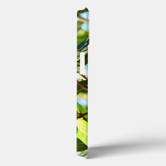 Galilee Acorn Case-Mate iPhone Hülle (Rückseite / Rechts)