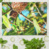 Galilee Acorn Geschirrtuch (Gefaltet)