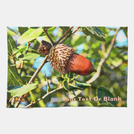 Galilee Acorn Geschirrtuch (Horizontal)