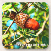 Galilee Acorn Getränkeuntersetzer (Vorderseite)