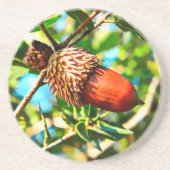 Galilee Acorn Getränkeuntersetzer (Vorne)