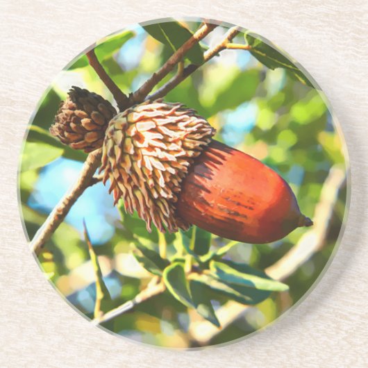 Galilee Acorn Getränkeuntersetzer (Vorne)