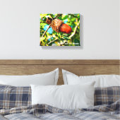 Galilee Acorn Leinwanddruck (Insitu (Schlafzimmer))