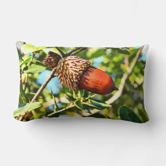 Galilee Acorn Lendenkissen (Vorderseite)