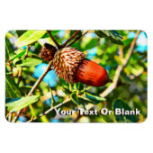 Galilee Acorn Magnet (Horizontal)
