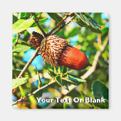 Galilee Acorn Magnet (Vorne)