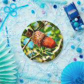 Galilee Acorn Pappteller (Party)