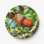 Galilee Acorn Pappteller (Vorderseite)