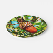 Galilee Acorn Pappteller (Schrägansicht)