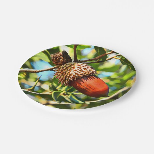 Galilee Acorn Pappteller (Schrägansicht)