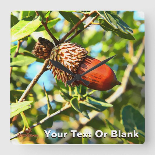 Galilee Acorn Quadratische Wanduhr (Vorderseite)