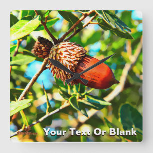 Galilee Acorn Quadratische Wanduhr