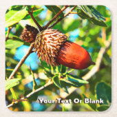 Galilee Acorn Rechteckiger Pappuntersetzer (Vorderseite)