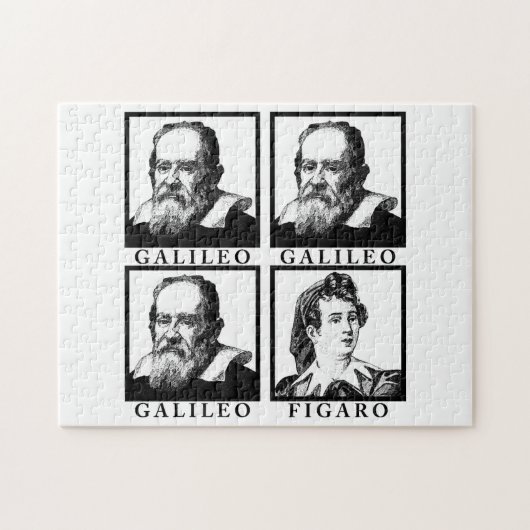 Galileo Figaro BW Puzzle (Horizontal)