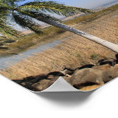 Galillee Israel Canvas Print Poster (Ecke)