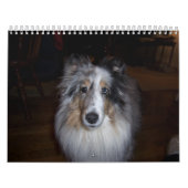 Gallagher Kalender-Wheaton 2011 Kalender (Titelbild)