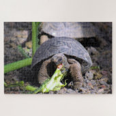 Gallapagos-Schildkröte Puzzle (Horizontal)