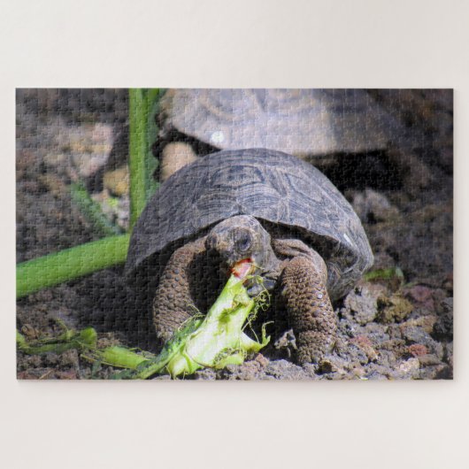 Gallapagos-Schildkröte Puzzle (Horizontal)