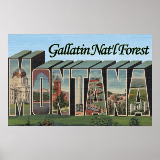 Gallatin Nat'l Forest, Montana Poster (Vorne)