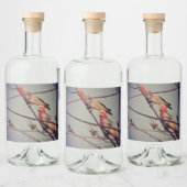 Galle-Vögel in Baum2 Alkoholflaschenetikett (Flaschen)