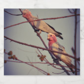 Galle-Vögel in Baum2 Alkoholflaschenetikett (Einzelnes Label)