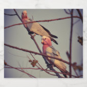 Galle Vögel in Baum 1 Alkoholflaschenetikett (Einzelnes Label)