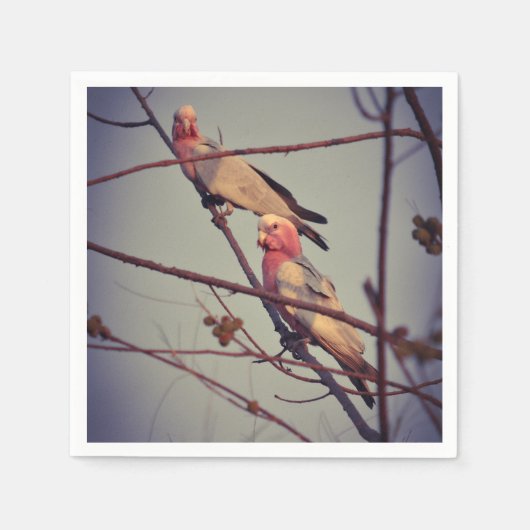 Galle Vögel in Baum 1 Serviette (Vorderseite)