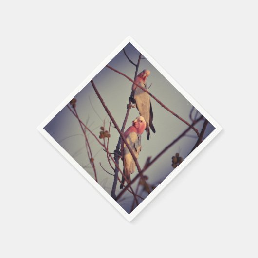 Galle Vögel in Baum 1 Serviette (Ecke)