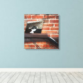 Galleenkatze Leinwanddruck (Insitu (Holzboden))