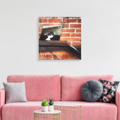 Galleenkatze Leinwanddruck (Insitu (Wohnzimmer))