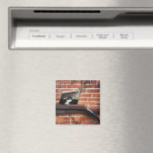 Galleenkatze Magnet (In Situ (Geschirrspüler))