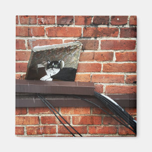 Galleenkatze Magnet