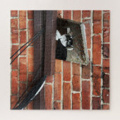 Galleenkatze Puzzle (Horizontal)