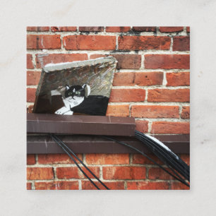 Galleenkatze Quadratische Visitenkarte