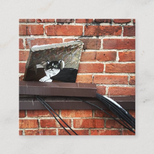 Galleenkatze Quadratische Visitenkarte (Vorderseite)