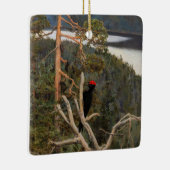 Gallen-Kallela - Großer Schwarzer Specker 1894 Keramikornament (Rechts)