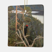 Gallen-Kallela - Großer Schwarzer Specker 1894 Keramikornament (Links)