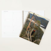 Gallen-Kallela - Großer Schwarzer Specker 1894 Planer (Anzeige)