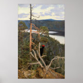 Gallen-Kallela - Großer Schwarzer Specker 1894 Poster (Vorne)