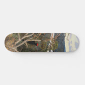 Gallen-Kallela - Großer Schwarzer Specker 1894 Skateboard (Horizontal)