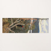 Gallen-Kallela - Großer Schwarzer Specker 1894 Yogamatte (Rückseite (Horizontal))