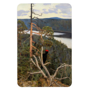 Gallen-Kallela - Großer Schwarzspecht 1894 Magnet