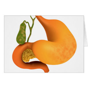 Gallenblase mit Magenschmerzen