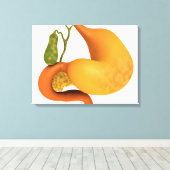 Gallenblase mit Magenschmerzen Leinwanddruck (Insitu (Holzboden))