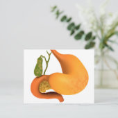 Gallenblase mit Magenschmerzen Postkarte (Stehend Vorderseite)