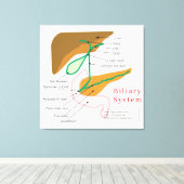 Gallendiagramm-Gallenkarte Leinwanddruck (Insitu (Holzboden))