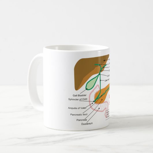 Gallensystems-Diagramm-Diagramm-Gallenweg Kaffeetasse (Vorderseite Links)