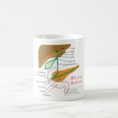 Gallensystems-Diagramm-Diagramm-Gallenweg Kaffeetasse (Mittel)